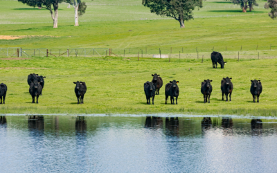Metcalfe Pastoral