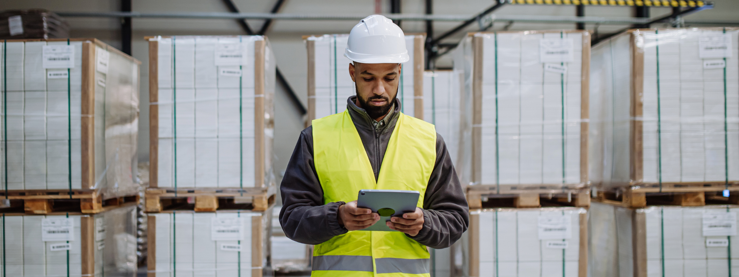Inventory Management Software Site manager at a warehouse