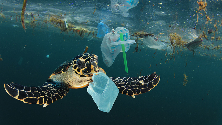 Earth Day 2024 is here and it’s never been more important for you to be a part of it