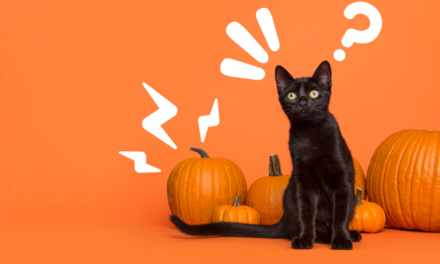 Should small businesses cash in on Halloween?